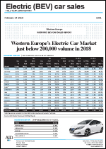 Full year electric car sales report