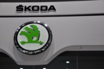 Skoda badge 2013