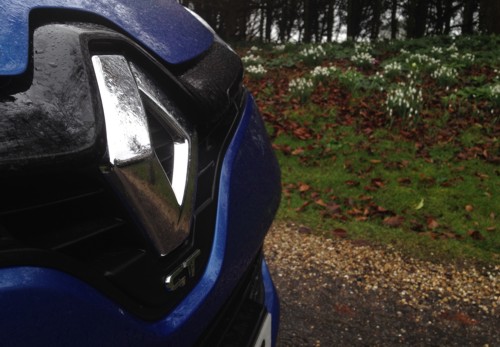 Renault Clio spring flowers February 2014