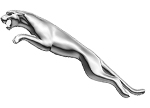 Jaguar logo cat